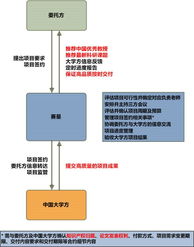 上海賽星軟件研發外包服務 合作模式解析與價值共創